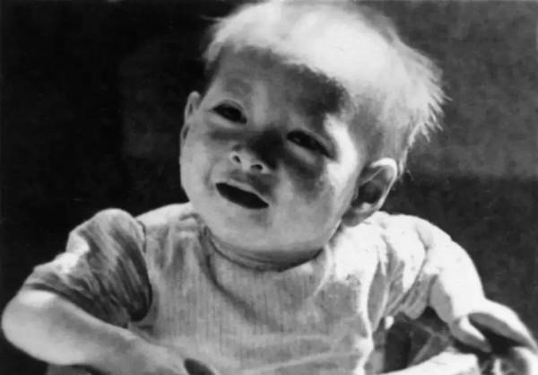 1980年，聶榮臻接見一47歲日本婦女，為何婦女下跪喊“父親”？