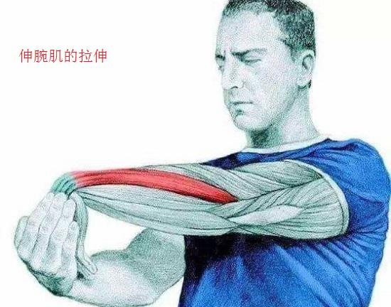 運動療法的常用手段