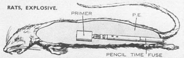 歷史上真實發生的荒誕而可笑的故事