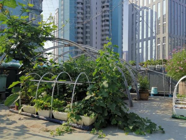 新式移動淺池,讓二培更加方便 新式移動淺池,讓二培更加方便