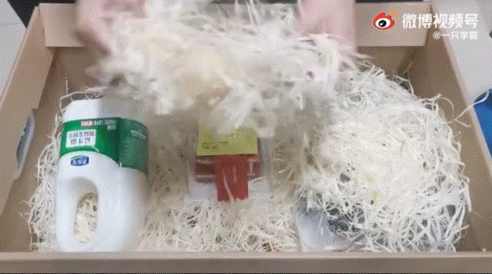 張智霖遺言看哭網友：袁詠儀，你錢夠花，我就安心了