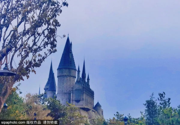 2021的最後這16天，這16件事超值得做！