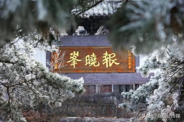 雪柳綻銀菊 玉樹煮瓊花—雞公山寫給冬天的詩