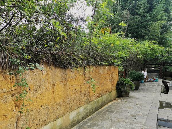 酸湯麵葉(短篇小說) 酸湯麵葉(短篇小說)