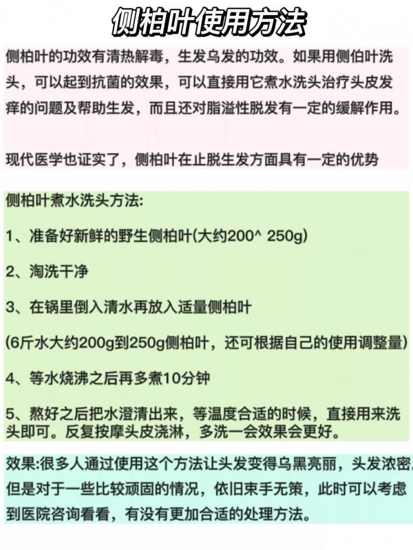 側柏葉洗頭我還真試了