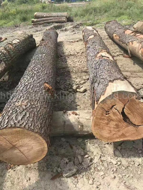 關於北美黑胡桃、北美櫻桃木、北美橡木、黃花梨等特點