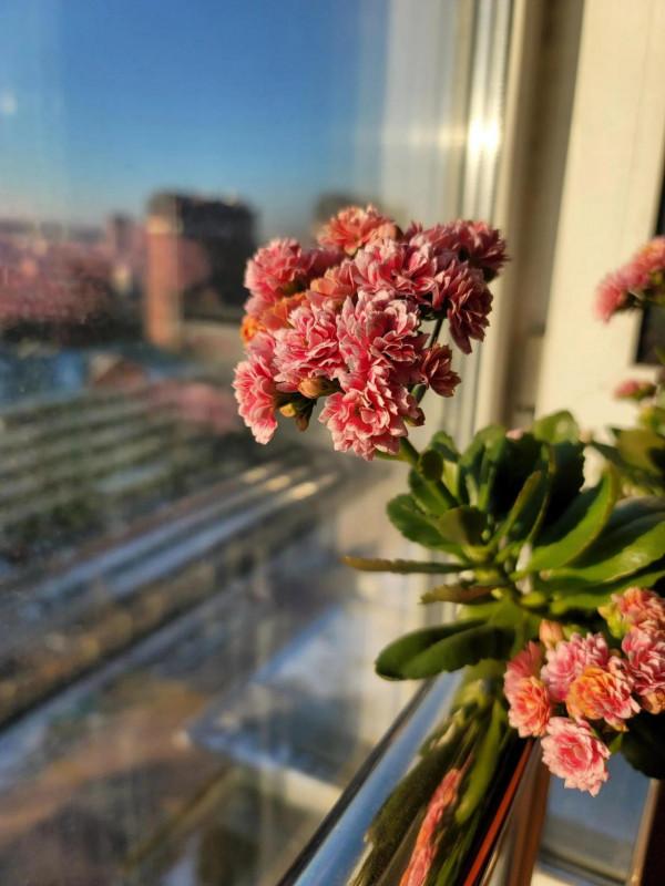 聽聽這兩位即將離開這個世界的人，留給了愛人什麼樣的話&hellip;&hellip;