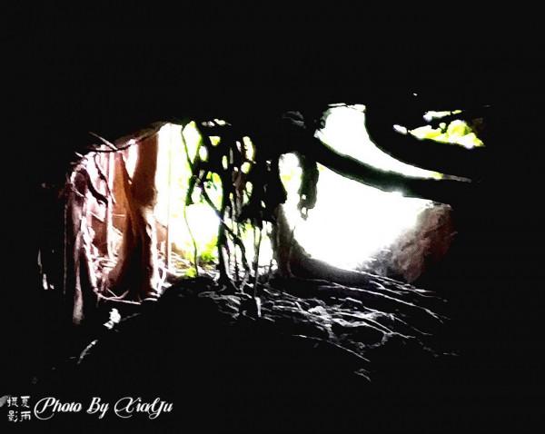 波多黎各之旅(四)遊風洞(CuevaVentana)奇遇世外桃源 波多黎各之旅(四)遊風洞(CuevaVentana)奇遇世外桃源