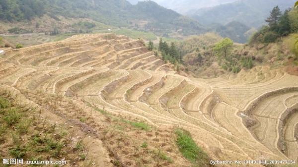 四川發展，高標準農田建設，標準到底有多高？你的家鄉在改造嗎？