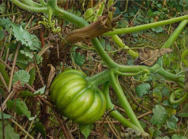 喬克·弗裡瑪的寫實作品欣賞