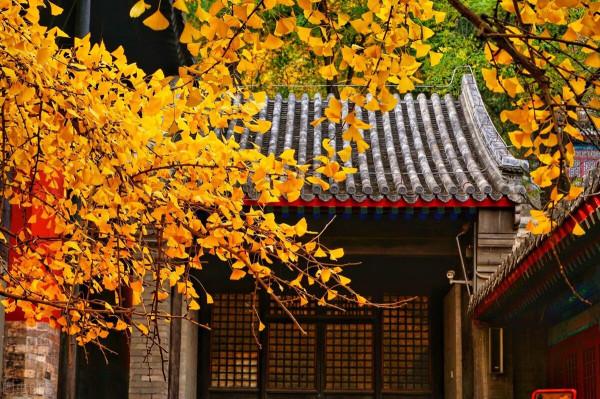 北京春節祈福好去處,趕快收藏 北京春節祈福好去處,趕快收藏