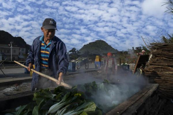 英德特產——白菜乾