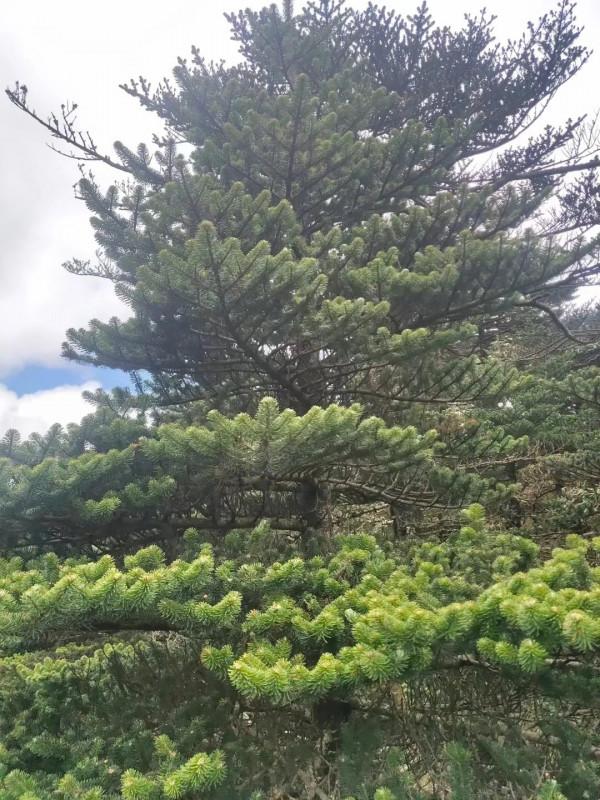 摩旅中國第八天