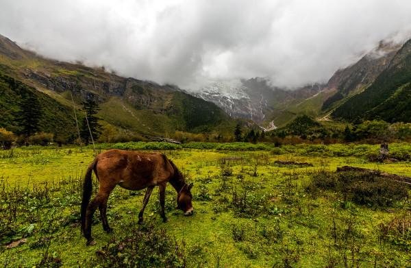 原來雲南的小眾秘境這麼美,這6處美麗而小眾的景點你都去過嗎? 原來雲南的小眾秘境這麼美,這6處美麗而小眾的景點你都去過嗎?