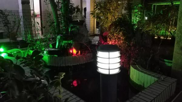 老家的庭院 老家的庭院