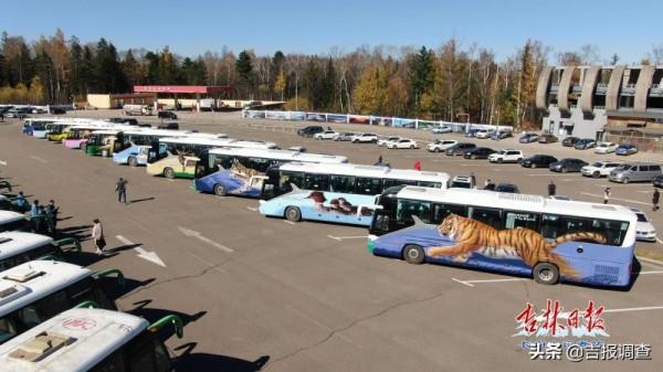 長白山北景區10輛野生動物塗鴉巴士正式上線運營,迅速成為遊客眼中一道靚麗風景 長白山北景區10輛野生動物塗鴉巴士正式上線運營,迅速成為遊客眼中一道靚麗風景