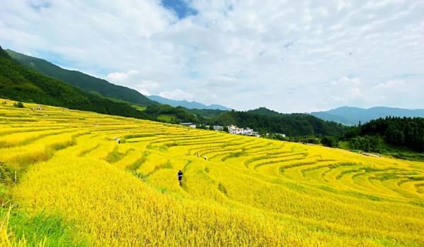 廣東絕美的秋色,都藏在了這4個小眾景點裡 廣東絕美的秋色,都藏在了這4個小眾景點裡