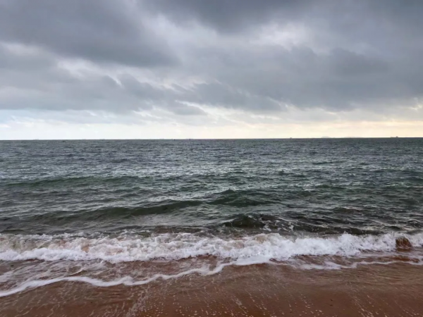 關於論據，你應該知道的那些事