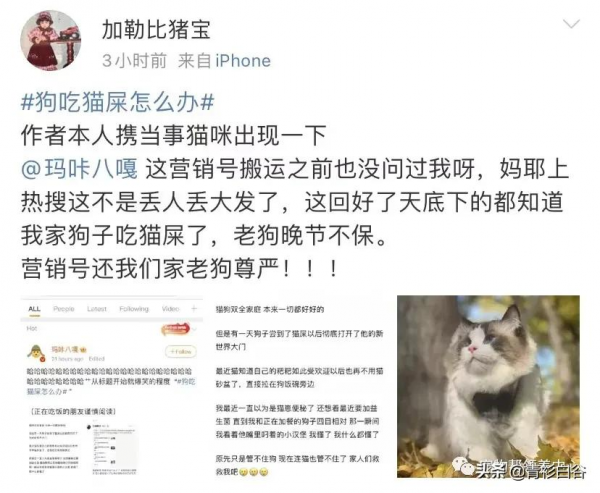 我家狗愛吃貓屎,貓知道後竟然特意到狗飯碗旁邊上廁所 我家狗愛吃貓屎,貓知道後竟然特意到狗飯碗旁邊上廁所