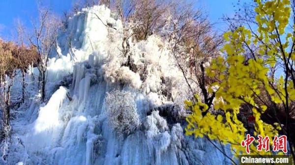 青海互助霧凇冰瀑連綿數里 玉樹瓊枝似“白色王國”