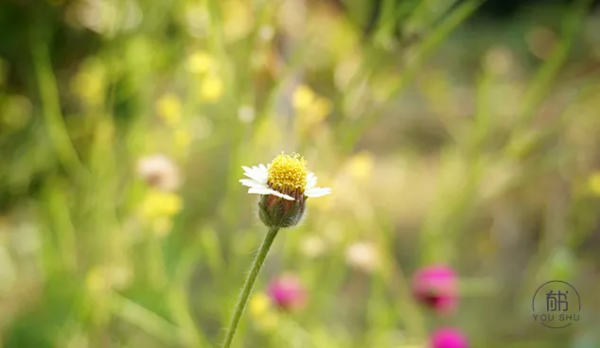 稻盛和夫：真正有本事的人，都懂得“借力”