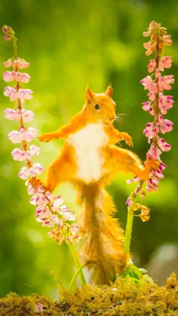 分享：抓拍動物精彩瞬間，驚豔絕倫，實為罕見