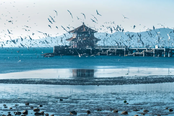 洋洋灑灑5000字，青島旅行最全攻略