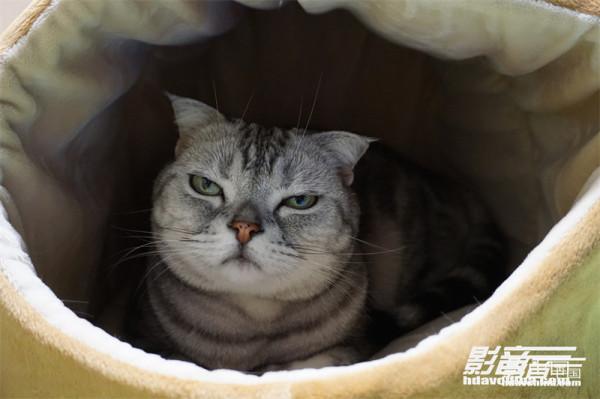 「推薦」要買音響，你做好一切準備了嗎？菜鳥與小白不得不瞭解的一些事情（下）