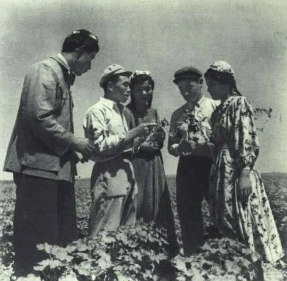 楊冪新劇《斛珠夫人》熱播,我想去劇中的絕美新疆取景地 楊冪新劇《斛珠夫人》熱播,我想去劇中的絕美新疆取景地