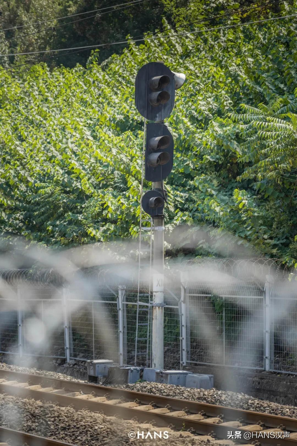 黃鶴樓下的人間煙火，蛇山上的神奇武昌