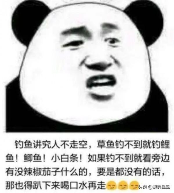 釣魚吧老哥,除了釣魚啥都會 釣魚吧老哥,除了釣魚啥都會