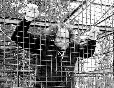 每日趣味冷知識