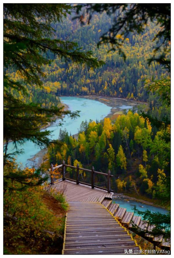 美麗的新疆喀納斯