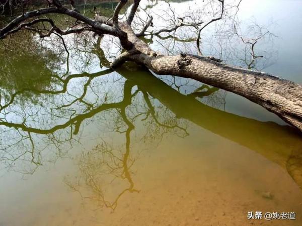 “重障區”的相貌特徵,鯽魚都是一窩一窩的!秋冬釣位選擇圖文版 “重障區”的相貌特徵,鯽魚都是一窩一窩的!秋冬釣位選擇圖文版