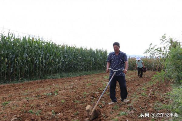 《西嶺仲秋月》——一位掖縣遊子的仲秋鄉憶