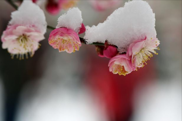 大雪冬深，獨釣寒江，讀懂了，才懂中年人的孤寂