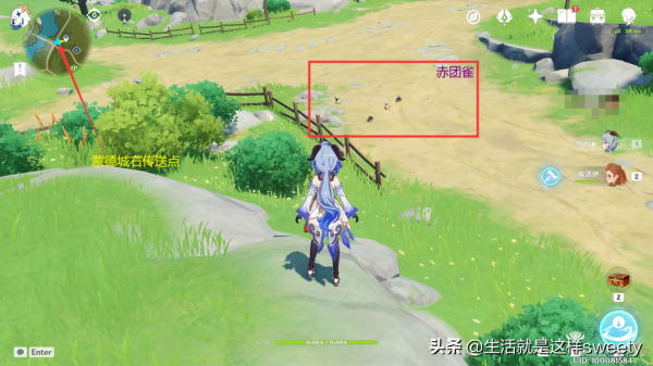 原神四方之網可捕捉小動物位置彙總一覽