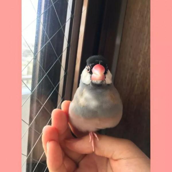 日本網友的魔性簡筆畫,太有靈魂了哈哈哈哈哈 日本網友的魔性簡筆畫,太有靈魂了哈哈哈哈哈