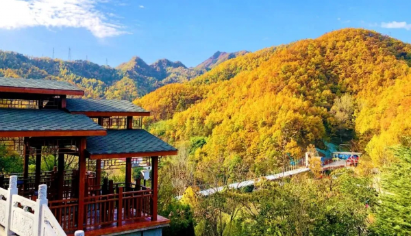 惠遊金秋,雞冠洞的炫彩千萬別錯過 惠遊金秋,雞冠洞的炫彩千萬別錯過