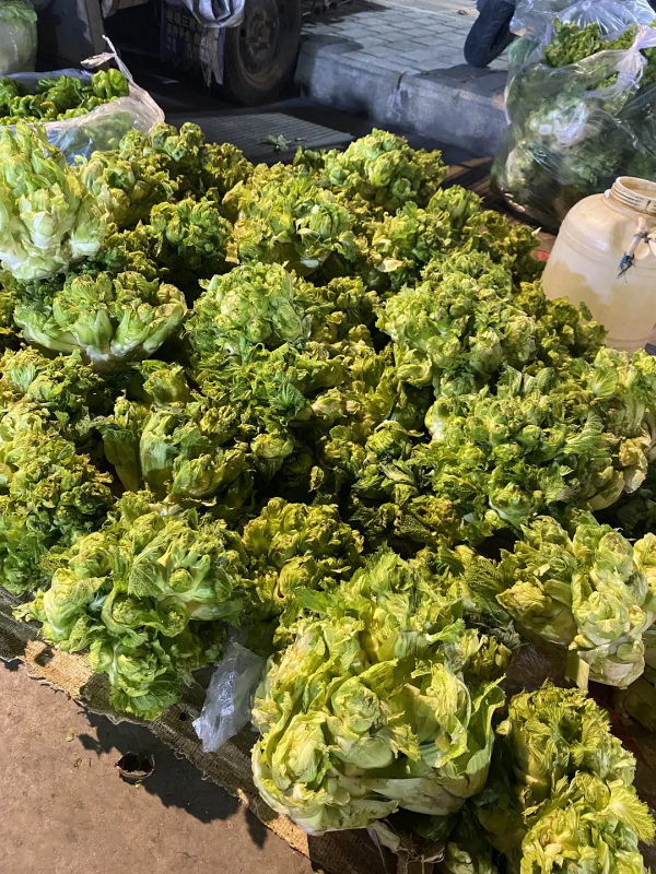 雲南紅河蒙自，大樹寨夜市