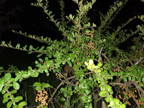 誰說近處無風景?大美清泉河給你一份不同的畫卷 誰說近處無風景?大美清泉河給你一份不同的畫卷