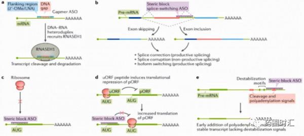 行研｜核酸藥物（一）——前世今生