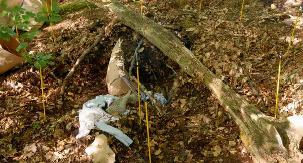 英國真實兇案:前任將她“葬”入土中,她卻靠一枚戒指爬出地面 英國真實兇案:前任將她“葬”入土中,她卻靠一枚戒指爬出地面