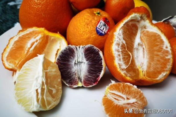 中央植物工廠連鎖模式-柑桔標準化育苗種植的踐行者(1) 中央植物工廠連鎖模式-柑桔標準化育苗種植的踐行者(1)