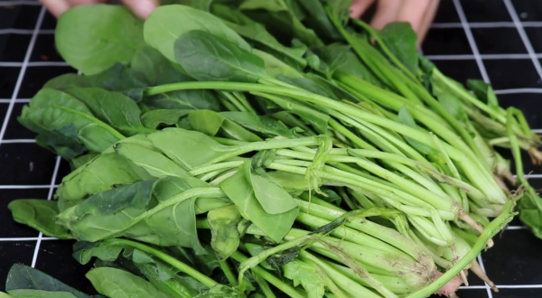 菠菜別做老一套，教你新鮮做法，一塊比一塊香，美味就是這麼簡單