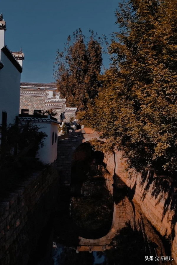 觀唐溫泉×山住茶:古風裡的一杯新制茶 觀唐溫泉×山住茶:古風裡的一杯新制茶