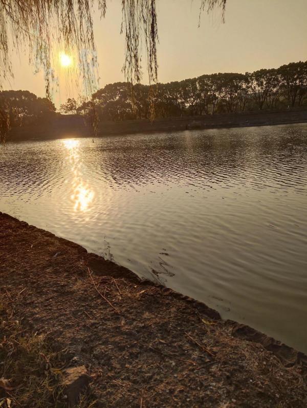 “含氧量”釣魚人必須瞭解的釣魚常識，魚釣多釣少它是個關鍵