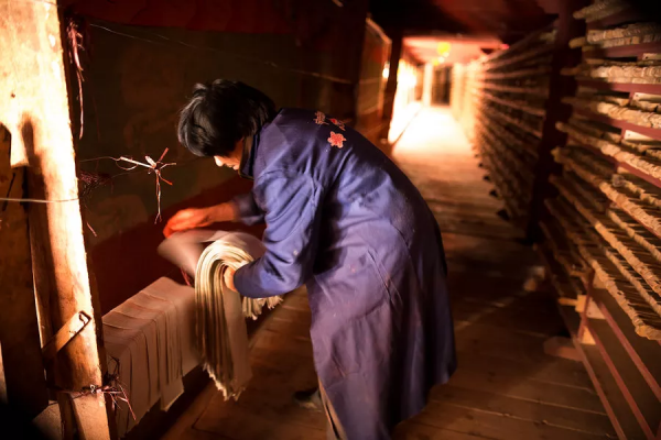 川藏南北線看花，追逐中國最美的春天