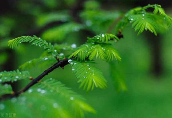 袁隆平：當代英雄，世代功臣，千秋功績