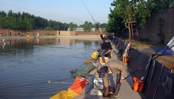 新手到底憑什麼能在黑坑爆護